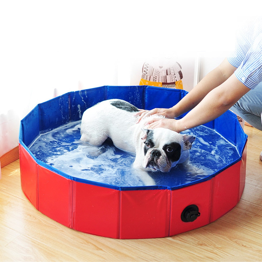 Dog Foldable Swimming Pool