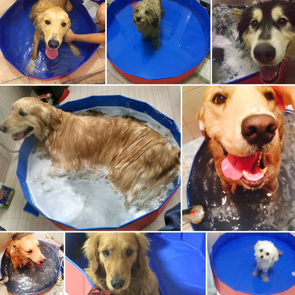 Dog Foldable Swimming Pool