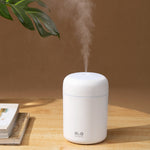 Portable H2O Ultrasonic Air Humidifier with Soothing Light